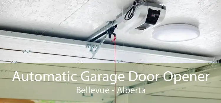 Automatic Garage Door Opener Bellevue - Alberta