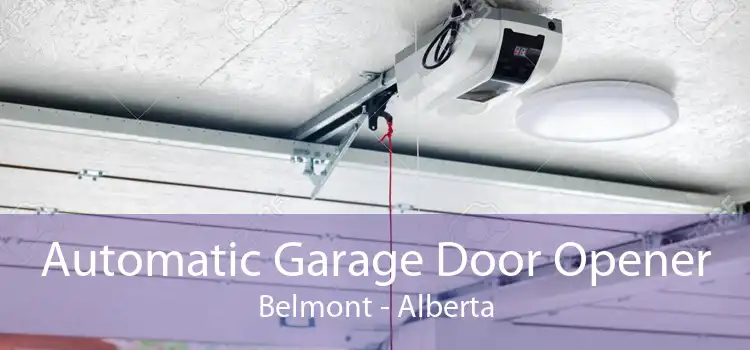 Automatic Garage Door Opener Belmont - Alberta
