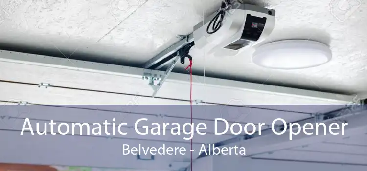 Automatic Garage Door Opener Belvedere - Alberta