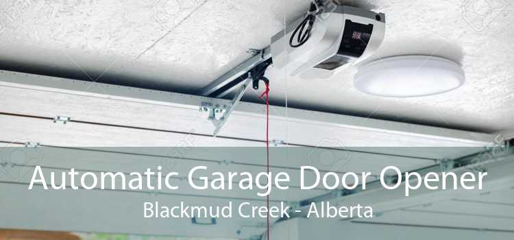Automatic Garage Door Opener Blackmud Creek - Alberta