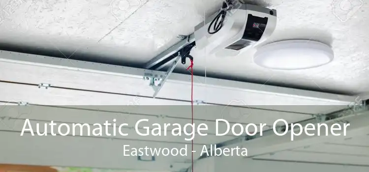 Automatic Garage Door Opener Eastwood - Alberta