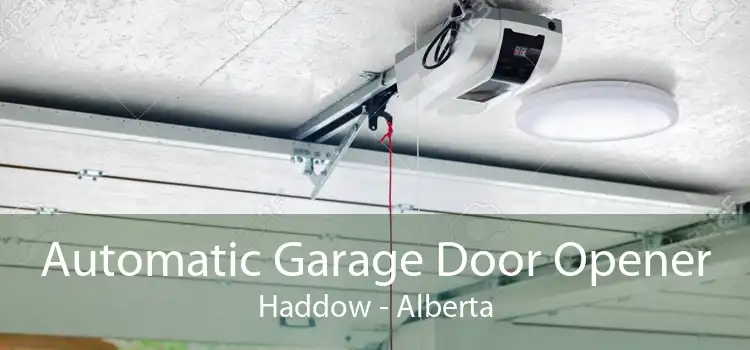 Automatic Garage Door Opener Haddow - Alberta
