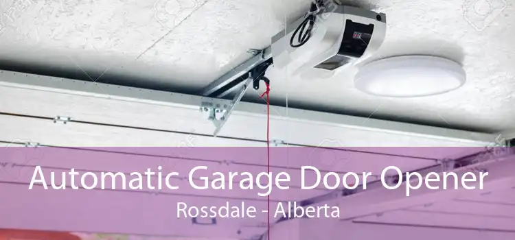 Automatic Garage Door Opener Rossdale - Alberta