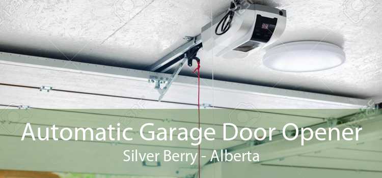 Automatic Garage Door Opener Silver Berry - Alberta