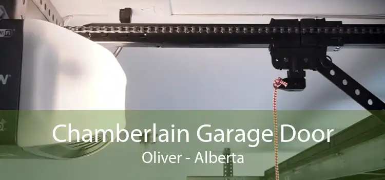 Chamberlain Garage Door Oliver - Alberta
