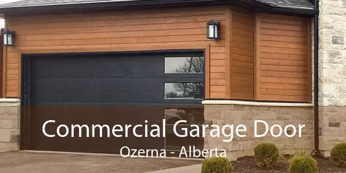 Commercial Garage Door Ozerna - Alberta