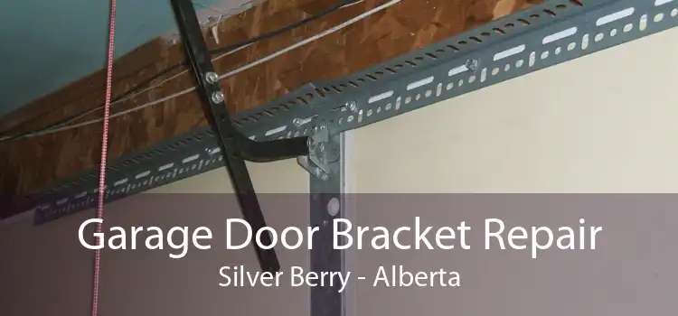 Garage Door Bracket Repair Silver Berry - Alberta