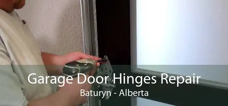 Garage Door Hinges Repair Baturyn - Alberta