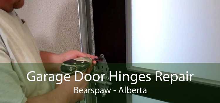 Garage Door Hinges Repair Bearspaw - Alberta