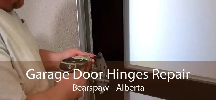 Garage Door Hinges Repair Bearspaw - Alberta