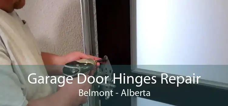 Garage Door Hinges Repair Belmont - Alberta