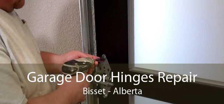 Garage Door Hinges Repair Bisset - Alberta