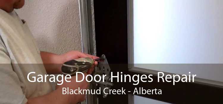 Garage Door Hinges Repair Blackmud Creek - Alberta