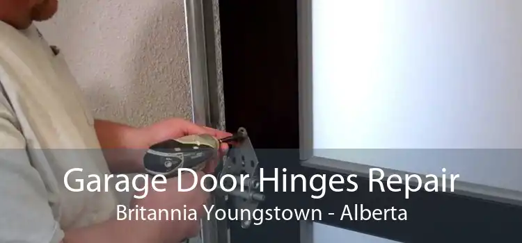 Garage Door Hinges Repair Britannia Youngstown - Alberta