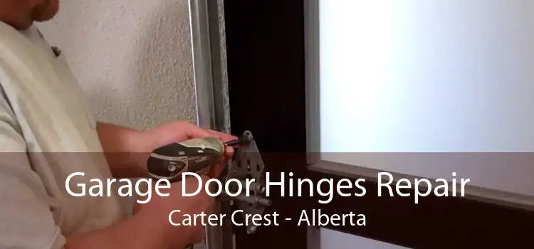 Garage Door Hinges Repair Carter Crest - Alberta