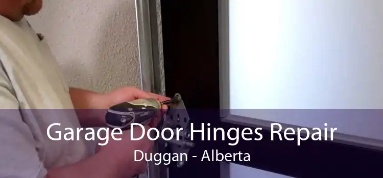 Garage Door Hinges Repair Duggan - Alberta