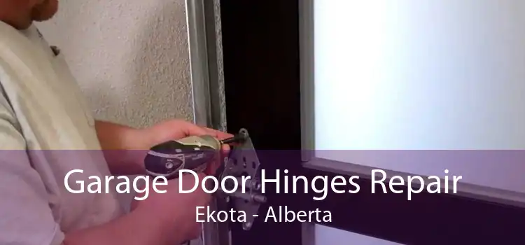 Garage Door Hinges Repair Ekota - Alberta