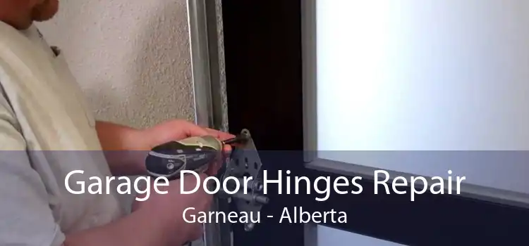 Garage Door Hinges Repair Garneau - Alberta