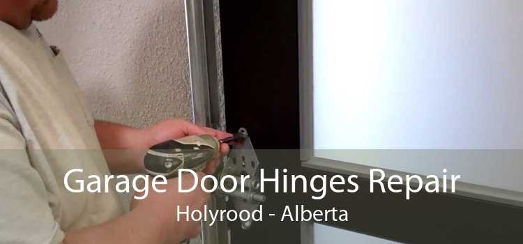 Garage Door Hinges Repair Holyrood - Alberta