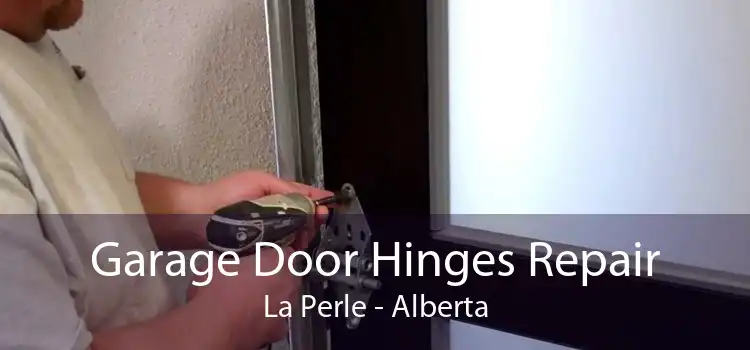 Garage Door Hinges Repair La Perle - Alberta