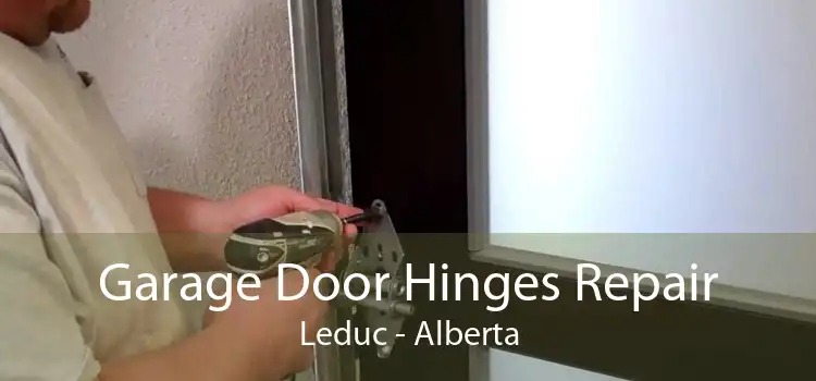 Garage Door Hinges Repair Leduc - Alberta