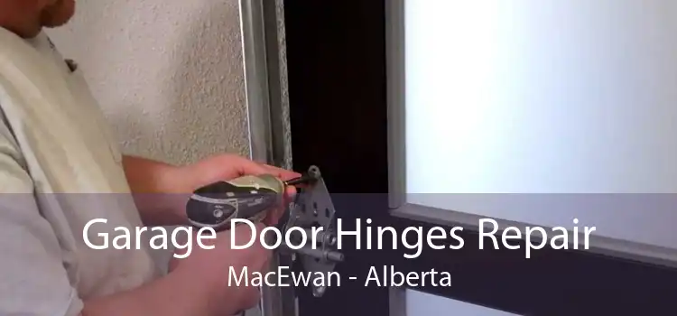Garage Door Hinges Repair MacEwan - Alberta