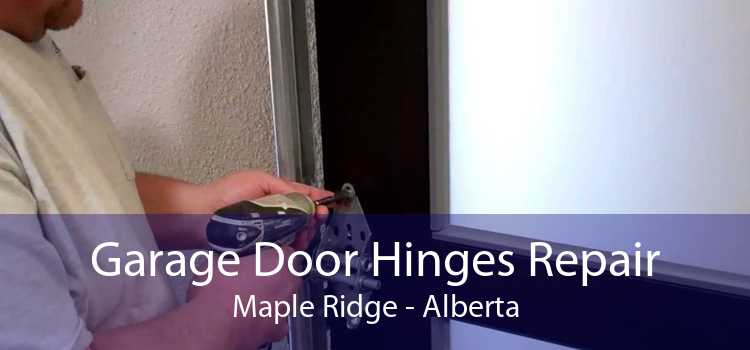 Garage Door Hinges Repair Maple Ridge - Alberta
