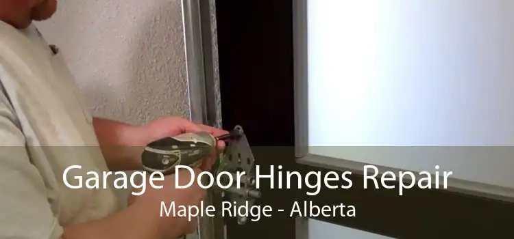 Garage Door Hinges Repair Maple Ridge - Alberta