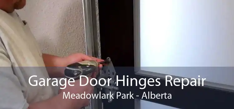 Garage Door Hinges Repair Meadowlark Park - Alberta