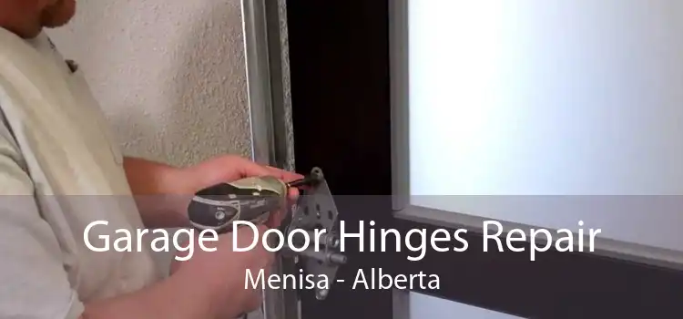 Garage Door Hinges Repair Menisa - Alberta