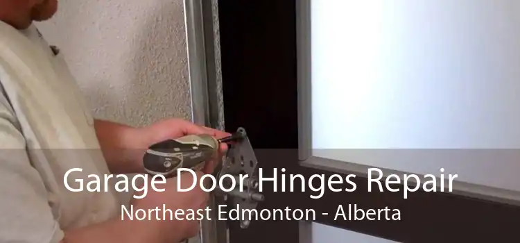 Garage Door Hinges Repair Northeast Edmonton - Alberta