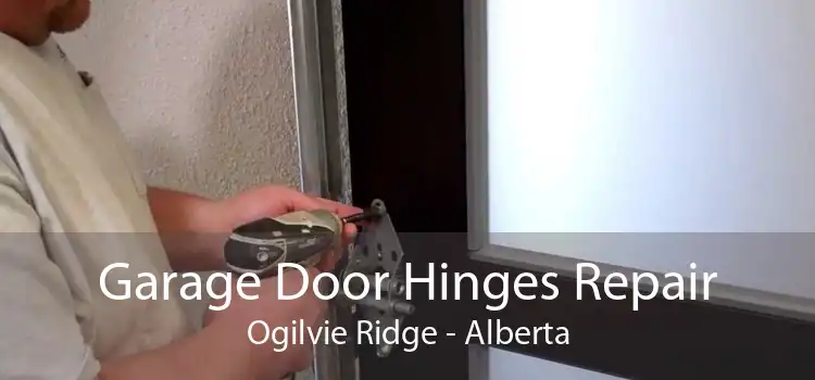 Garage Door Hinges Repair Ogilvie Ridge - Alberta
