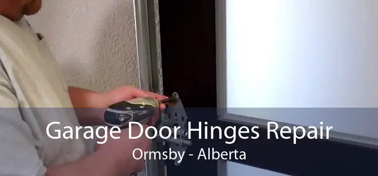 Garage Door Hinges Repair Ormsby - Alberta