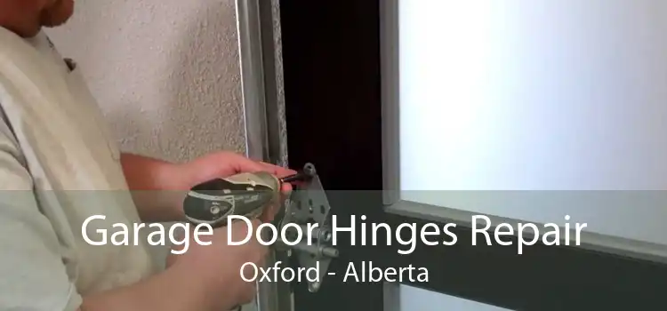 Garage Door Hinges Repair Oxford - Alberta