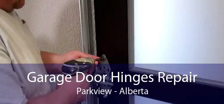 Garage Door Hinges Repair Parkview - Alberta