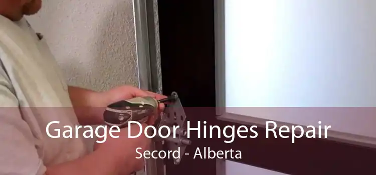 Garage Door Hinges Repair Secord - Alberta