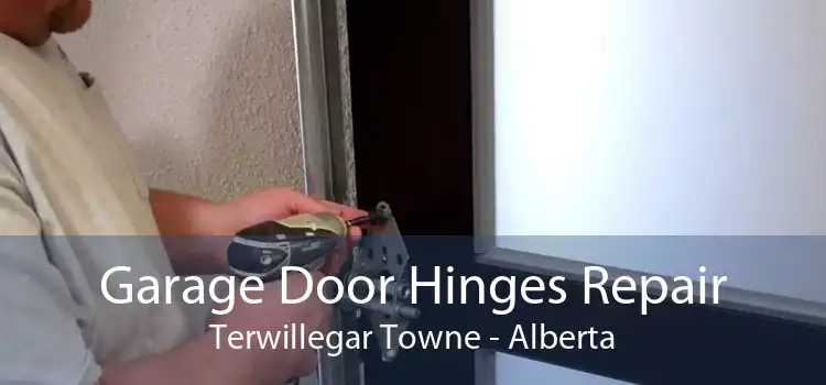 Garage Door Hinges Repair Terwillegar Towne - Alberta