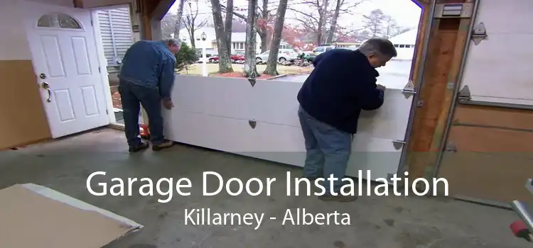 Garage Door Installation Killarney - Alberta
