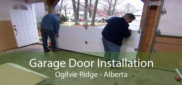 Garage Door Installation Ogilvie Ridge - Alberta