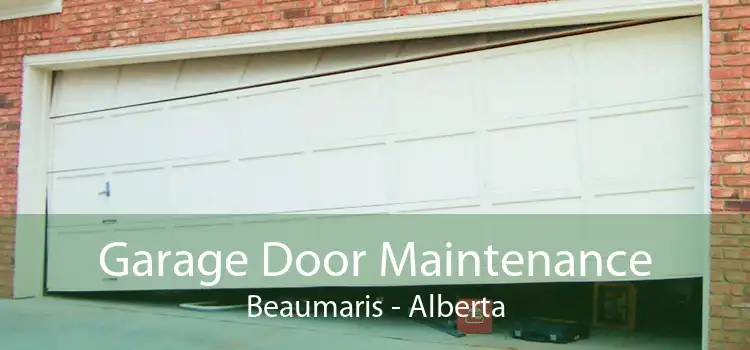 Garage Door Maintenance Beaumaris - Alberta