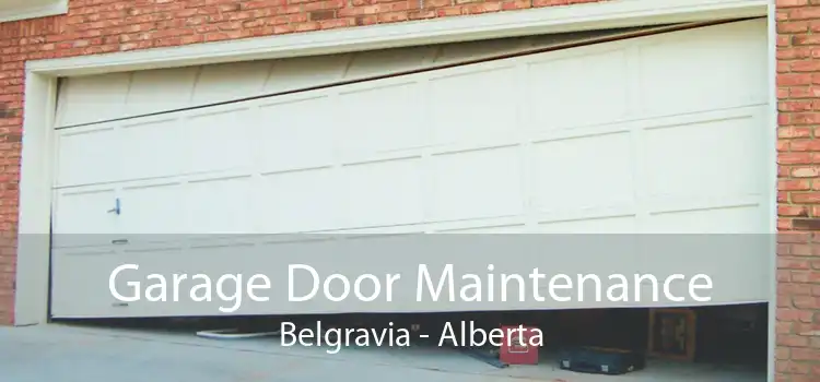 Garage Door Maintenance Belgravia - Alberta