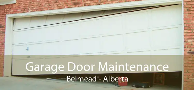 Garage Door Maintenance Belmead - Alberta