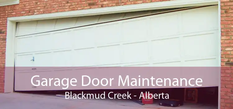 Garage Door Maintenance Blackmud Creek - Alberta
