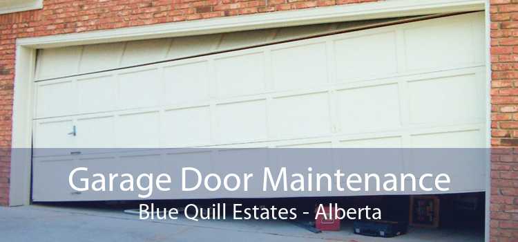 Garage Door Maintenance Blue Quill Estates - Alberta