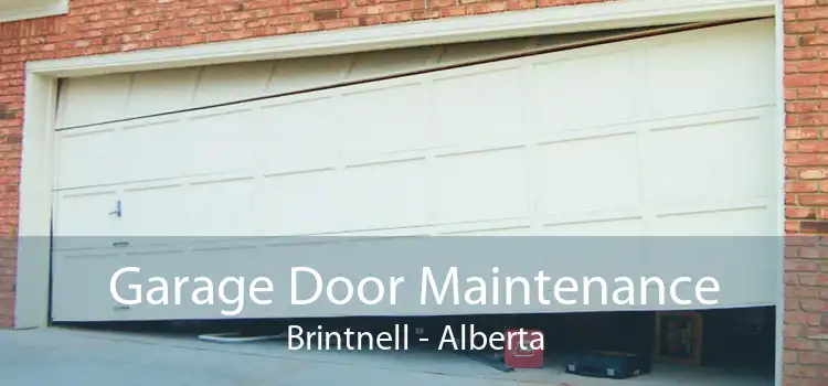 Garage Door Maintenance Brintnell - Alberta