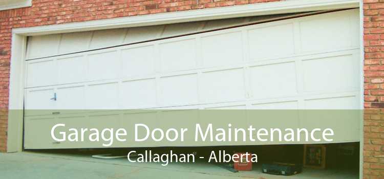 Garage Door Maintenance Callaghan - Alberta
