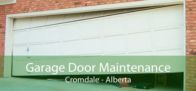 Garage Door Maintenance Cromdale - Alberta