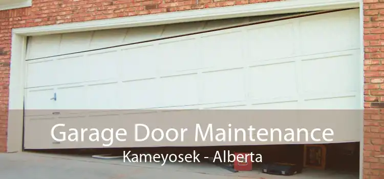 Garage Door Maintenance Kameyosek - Alberta