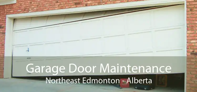Garage Door Maintenance Northeast Edmonton - Alberta