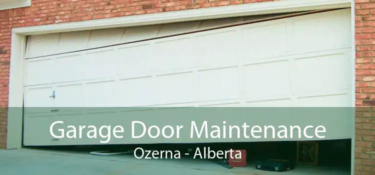 Garage Door Maintenance Ozerna - Alberta